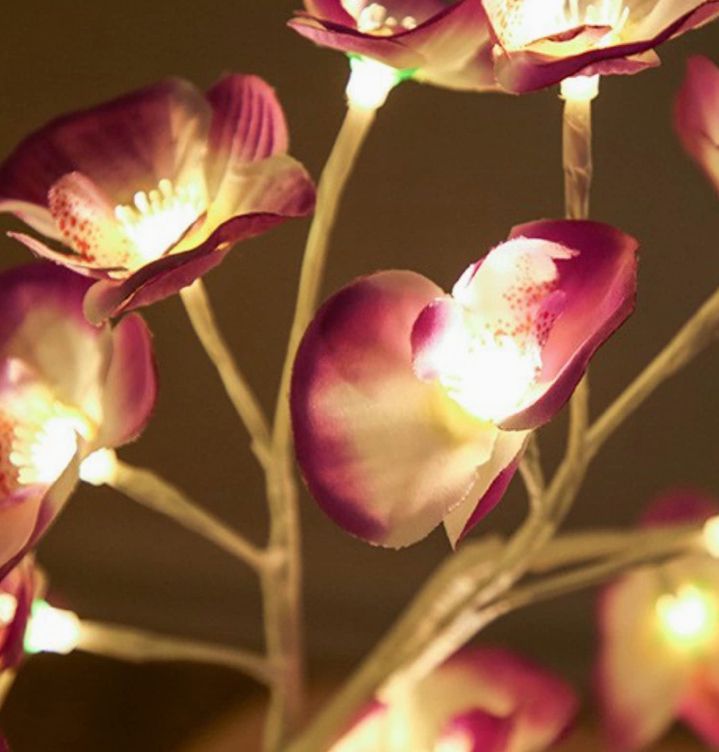 🌺 BloomLight - Orquídea Luminosa: Arte, Luz y Encanto